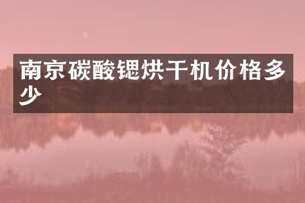 南京碳酸锶烘干机价格多少