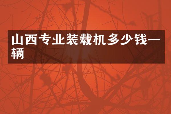 山西专业装载机多少钱一辆