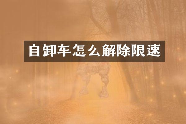 自卸车怎么解除限速