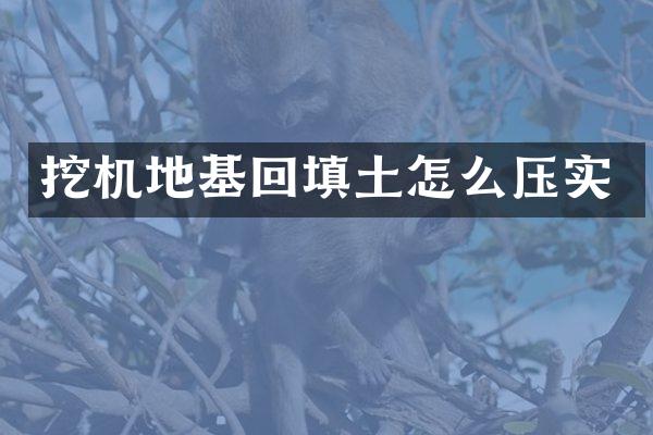 挖机地基回填土怎么压实
