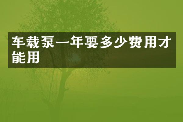 车载泵一年要多少费用才能用