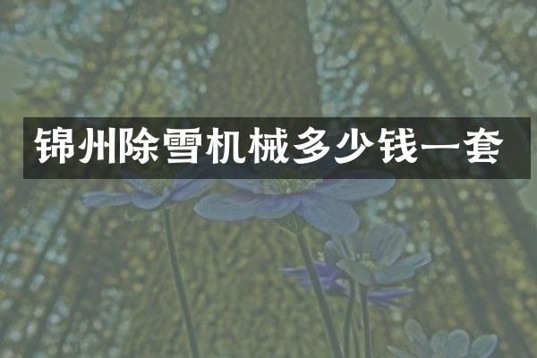 锦州除雪机械多少钱一套