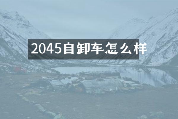 2045自卸车怎么样