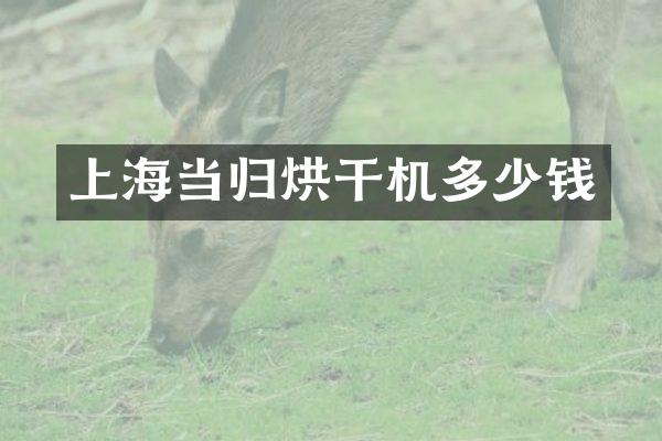 上海当归烘干机多少钱