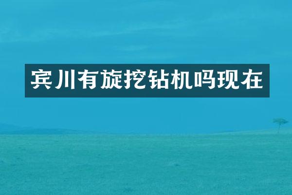 宾川有旋挖钻机吗现在