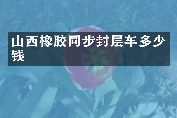 山西橡胶同步封层车多少钱