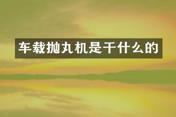 车载抛丸机是干什么的