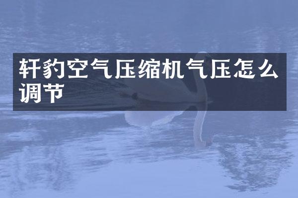 轩豹空气压缩机气压怎么调节