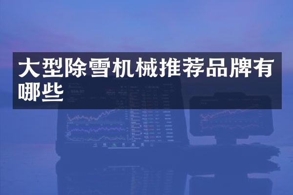 大型除雪机械推荐品牌有哪些