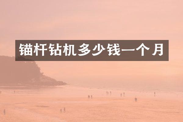 锚杆钻机多少钱一个月