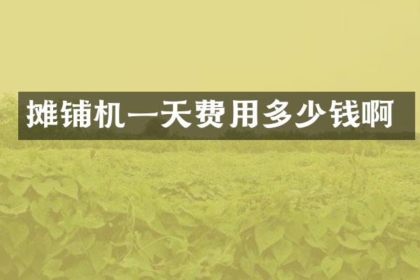 摊铺机一天费用多少钱啊