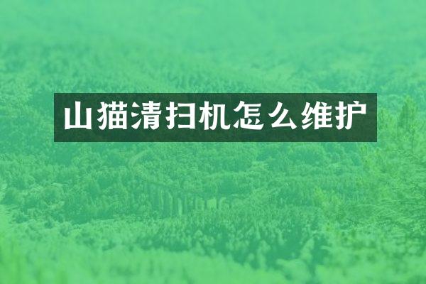 山猫清扫机怎么维护