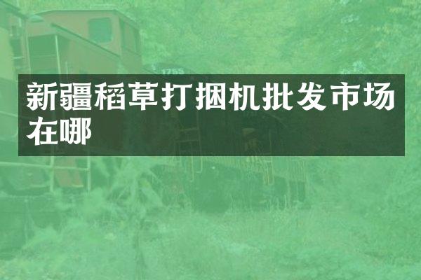 新疆稻草打捆机批发市场在哪