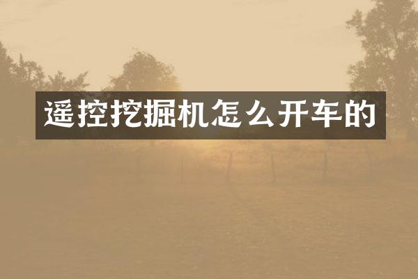 遥控挖掘机怎么开车的