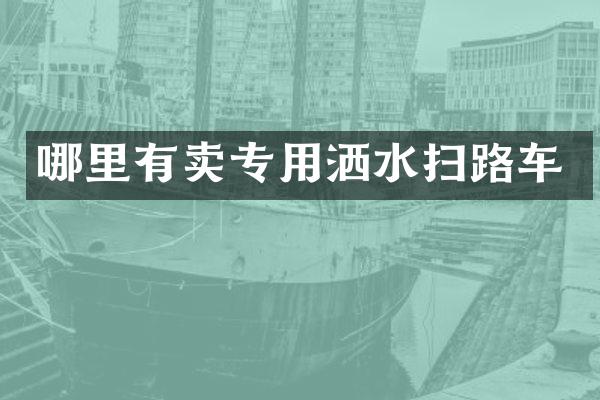 哪里有卖专用洒水扫路车