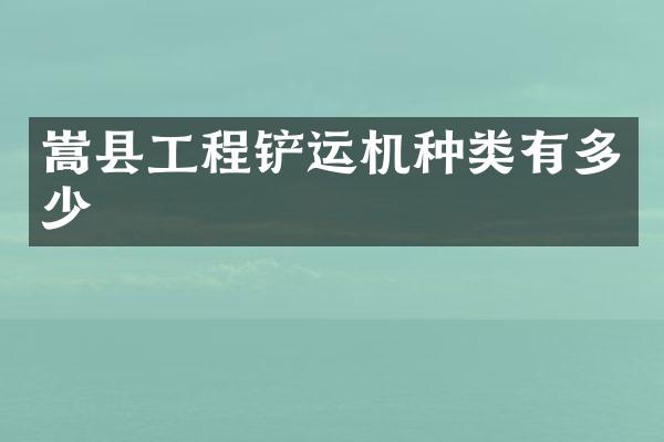 嵩县工程铲运机种类有多少