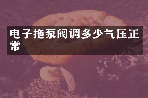 电子拖泵阀调多少气压正常