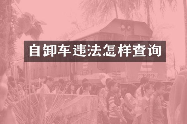 自卸车违法怎样查询
