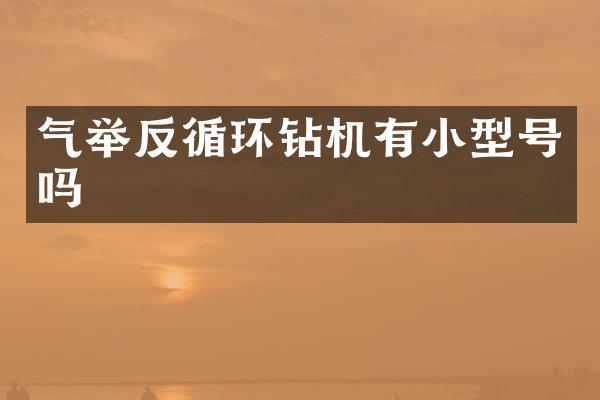 气举反循环钻机有小型号吗