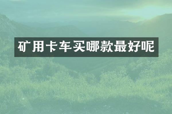 矿用卡车买哪款最好呢