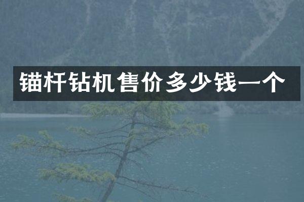 锚杆钻机售价多少钱一个
