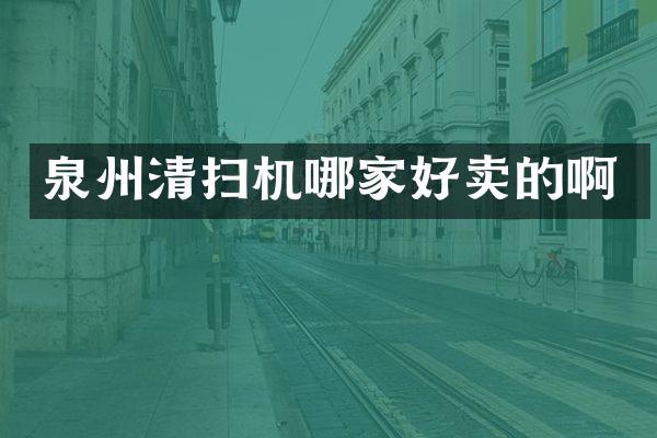泉州清扫机哪家好卖的啊