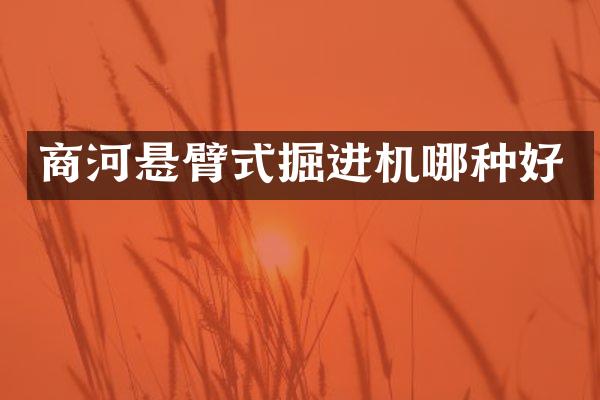 商河悬臂式掘进机哪种好