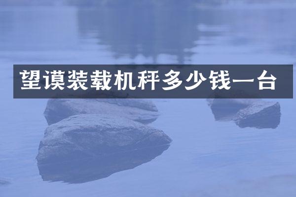 望谟装载机秤多少钱一台