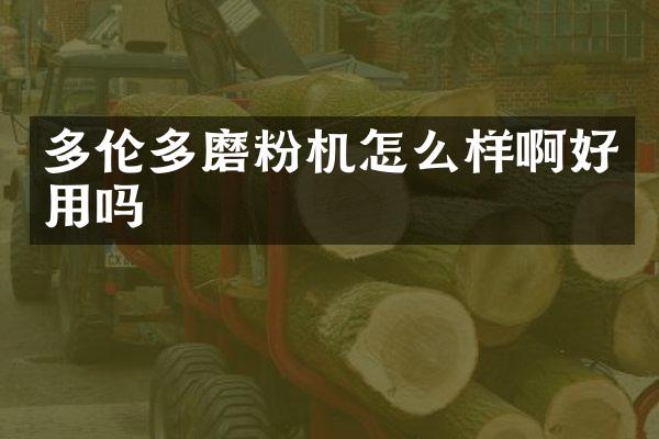 多伦多磨粉机怎么样啊好用吗
