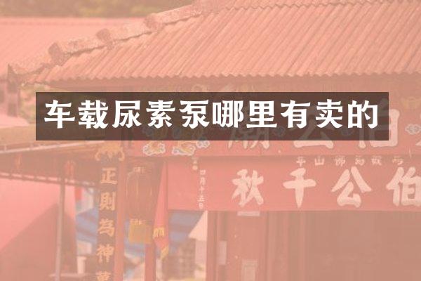 车载尿素泵哪里有卖的