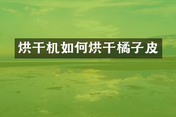 烘干机如何烘干橘子皮
