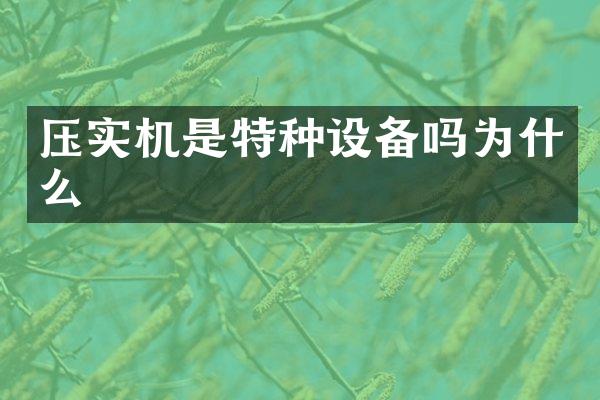 压实机是特种设备吗为什么