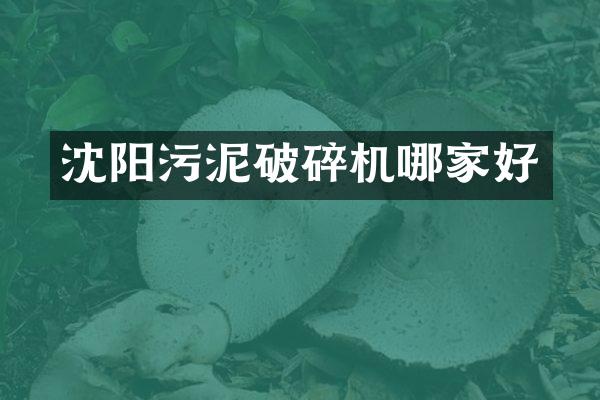沈阳污泥破碎机哪家好
