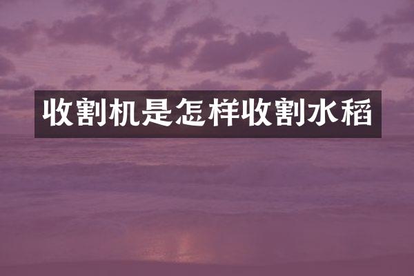 收割机是怎样收割水稻