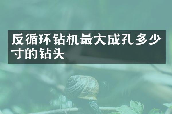 反循环钻机最大成孔多少寸的钻头