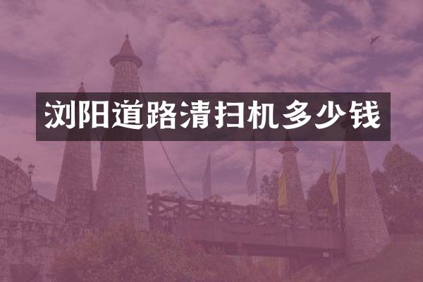 浏阳道路清扫机多少钱