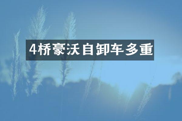 4桥豪沃自卸车多重