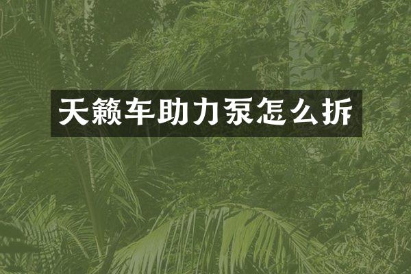 天籁车助力泵怎么拆