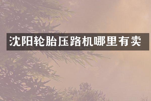 沈阳轮胎压路机哪里有卖
