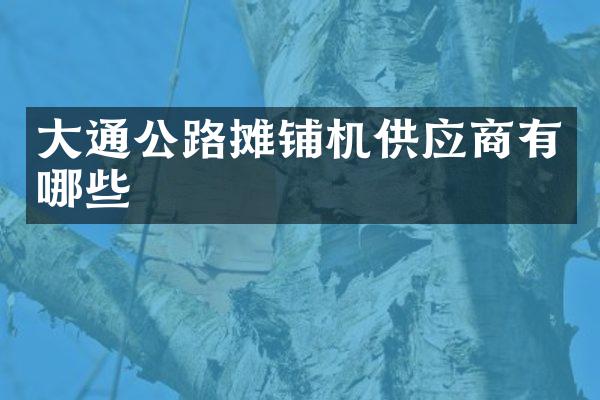 大通公路摊铺机供应商有哪些
