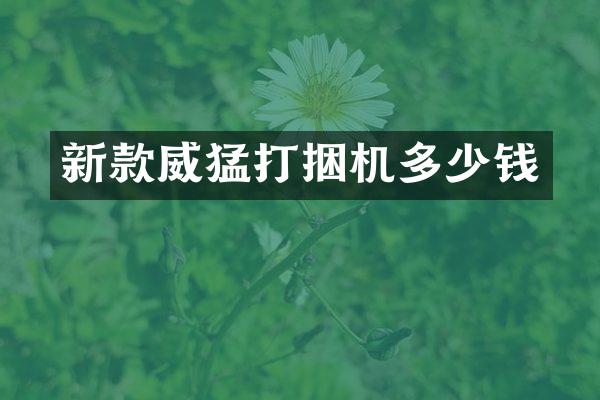 新款威猛打捆机多少钱