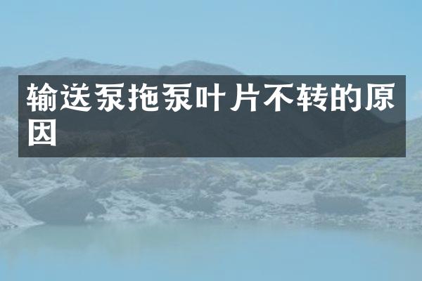 输送泵拖泵叶片不转的原因