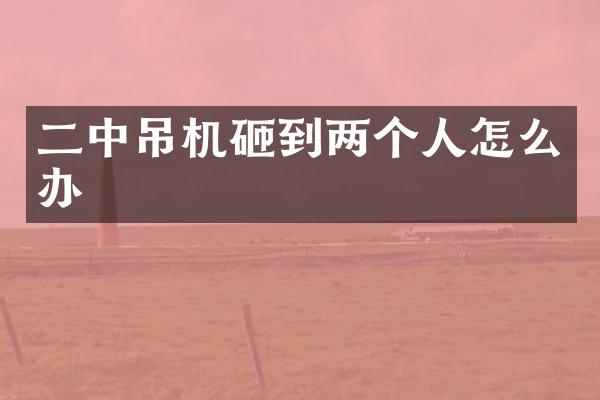 二中吊机砸到两个人怎么办
