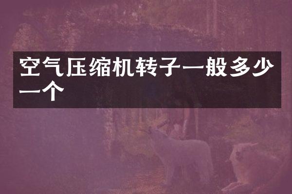 空气压缩机转子一般多少一个