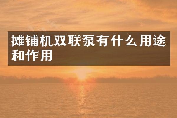 摊铺机双联泵有什么用途和作用