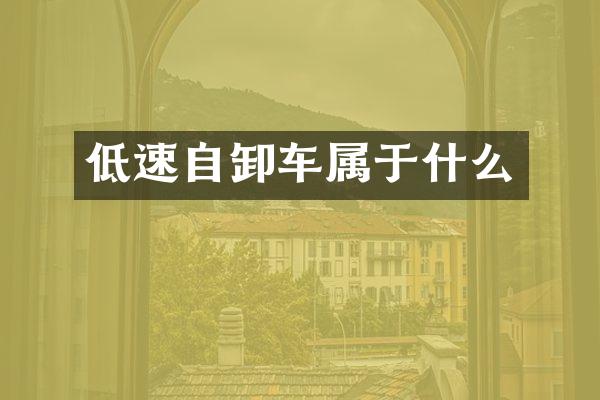 低速自卸车属于什么