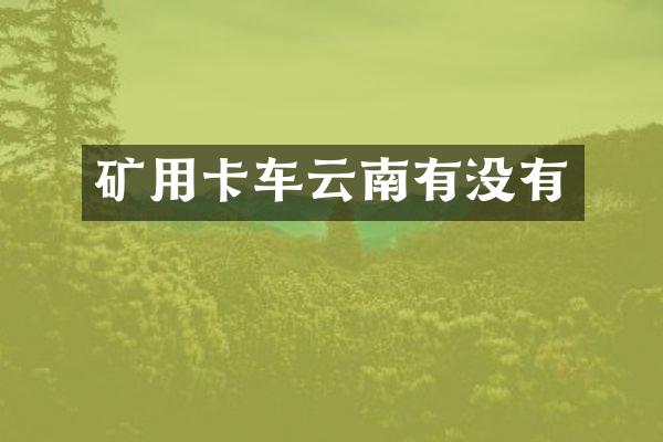 矿用卡车云南有没有