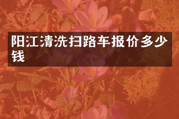 阳江清洗扫路车报价多少钱