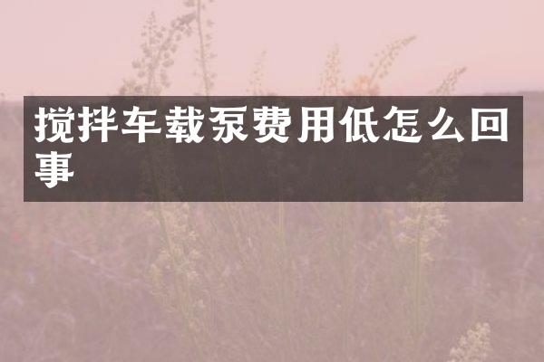 搅拌车载泵费用低怎么回事