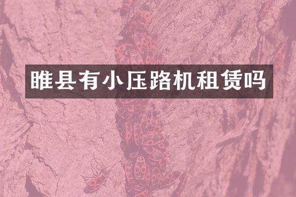 睢县有小压路机租赁吗